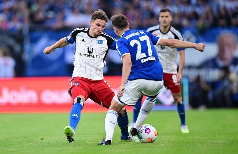 沃尔夫斯堡客场逆转沙尔克04,继续横扫德甲,保持不败战绩的简单介绍 沃尔夫斯堡客场逆转沙尔克04,继续横扫德甲,保持不败战绩的简单介绍